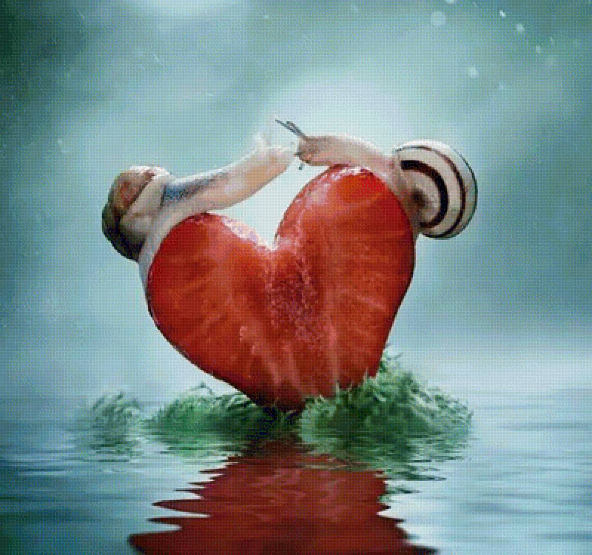 Улитки - предпросмотр