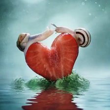 Схема вышивки «Улитки»