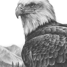 Схема вышивки «орёл»