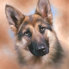 Схема вышивки «собака»