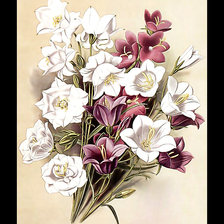 Схема вышивки «Серия "Букет".  Колокольчики»