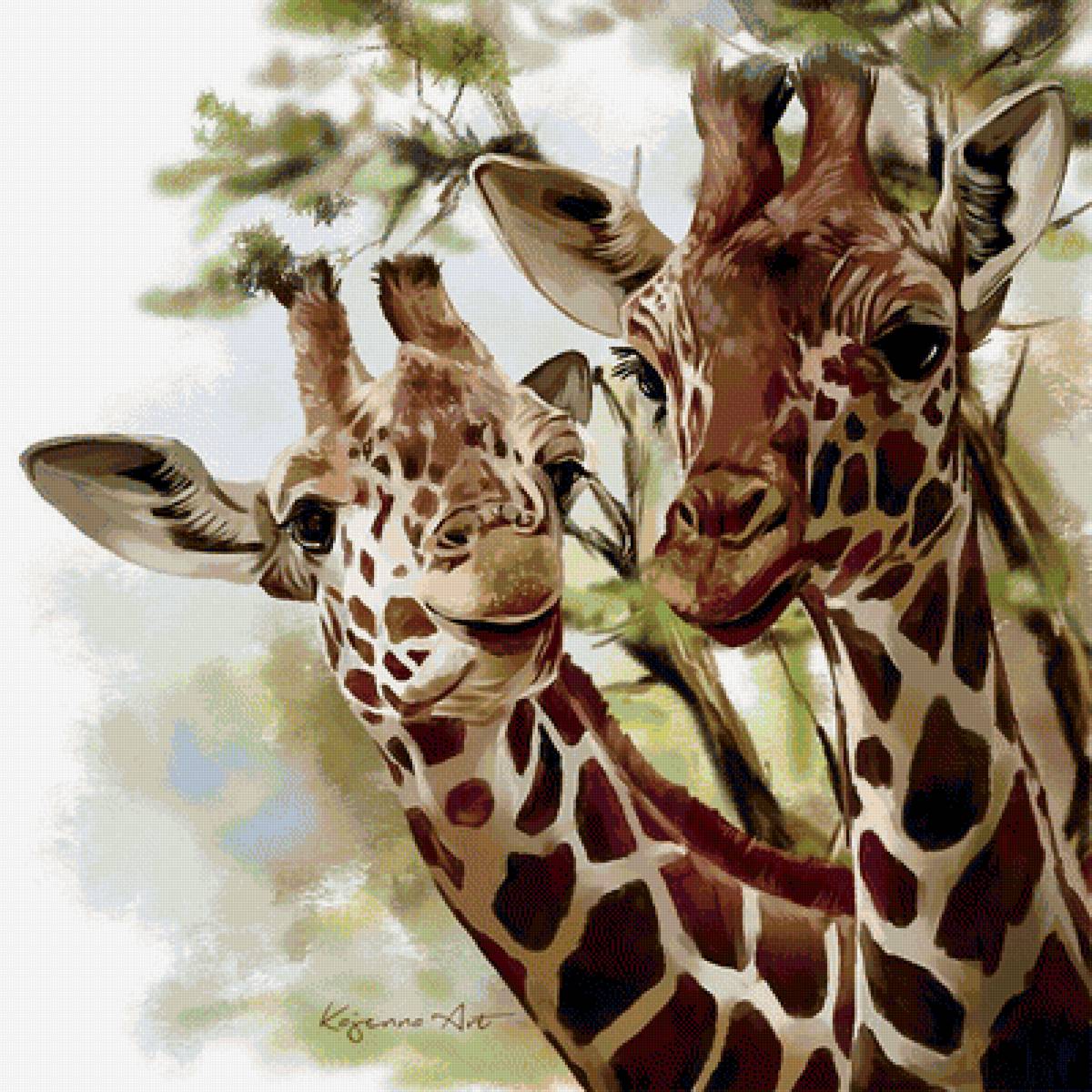 Жирафы - животные, жирами, рисунок, жираф - предпросмотр