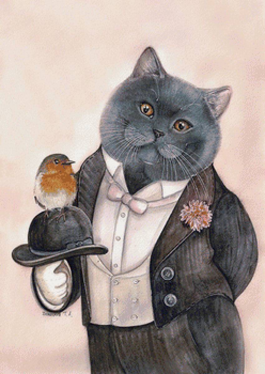 кот-джентльмен - котята, кошка - предпросмотр