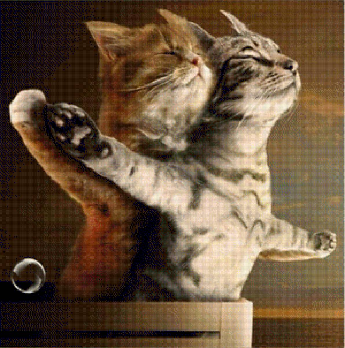 gatti sul titanic - amore, gatti, nave, titanic, bolle - предпросмотр