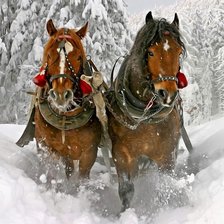 Схема вышивки «№1865254»