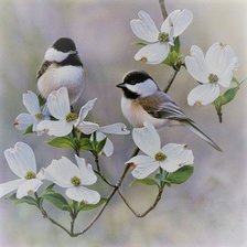 Схема вышивки «Птицы на ветке»