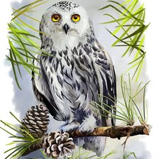 Схема вышивки «Сова на ветке»