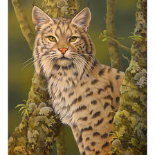 Схема вышивки «Серия "Хищники".»