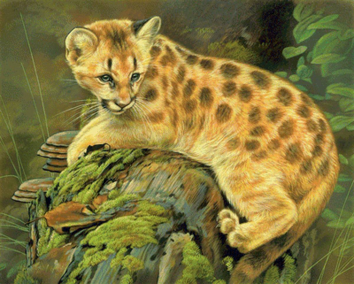 Ягуар - ягуар, природа, животные, картина - предпросмотр