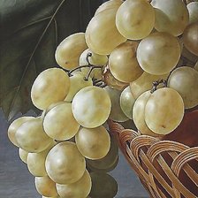 Схема вышивки «виноград»