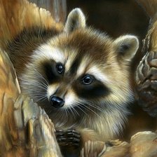 Схема вышивки «Енот»