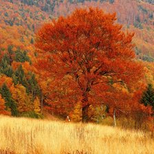 Схема вышивки «Прекрасная осень»