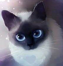 Схема вышивки «Кошка»