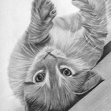 Схема вышивки «котёнок»