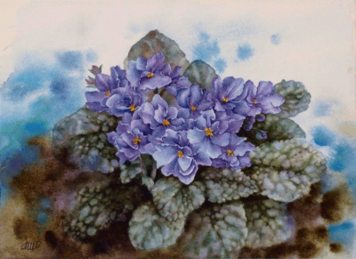 Фиалки - фиалки, весна, природа - предпросмотр