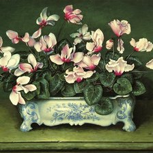 Схема вышивки «Цикламены»