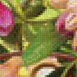Предпросмотр схемы вышивки «Георгины» (№1866530)