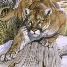 Схема вышивки «Пума»