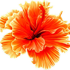 Схема вышивки «№1866918»