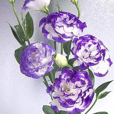 Схема вышивки «№1866961»