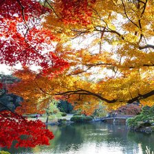 Схема вышивки «prolet»