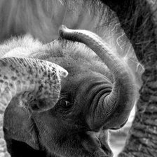 Схема вышивки «Маленькое счастье»