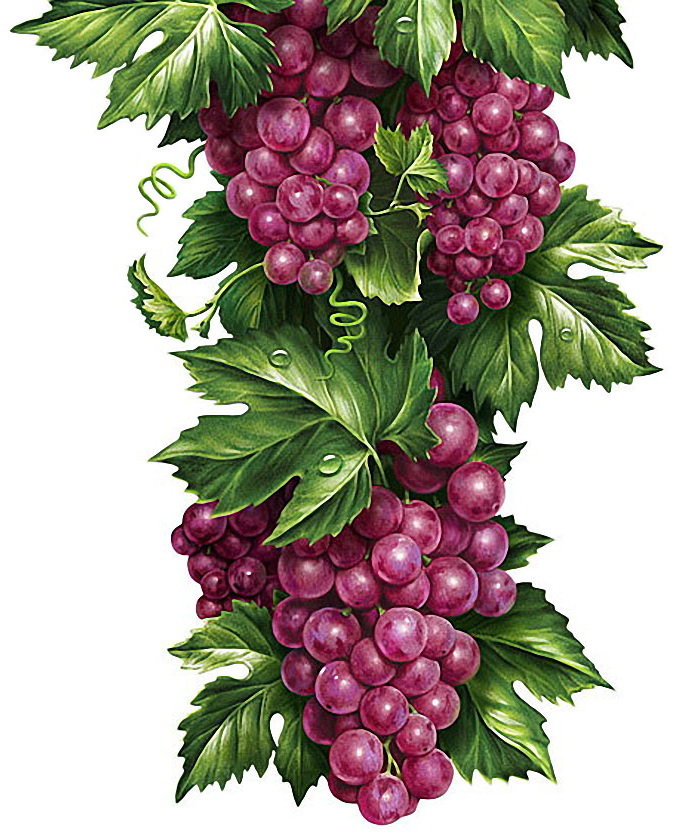 hrozno - оригинал