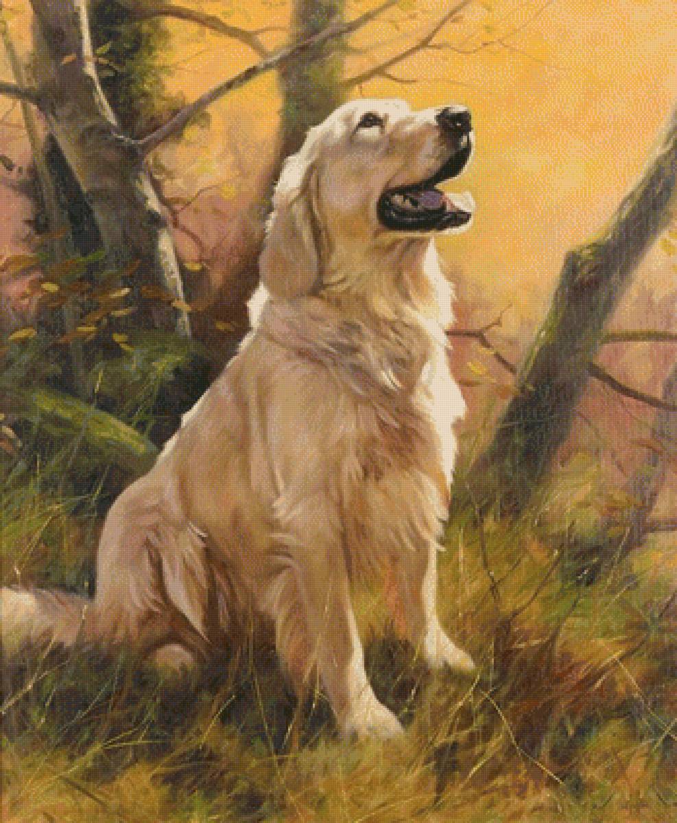 Ретривер - друг, собака, лес, животные, картина, природа, питомец - предпросмотр