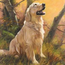 Схема вышивки «Ретривер»