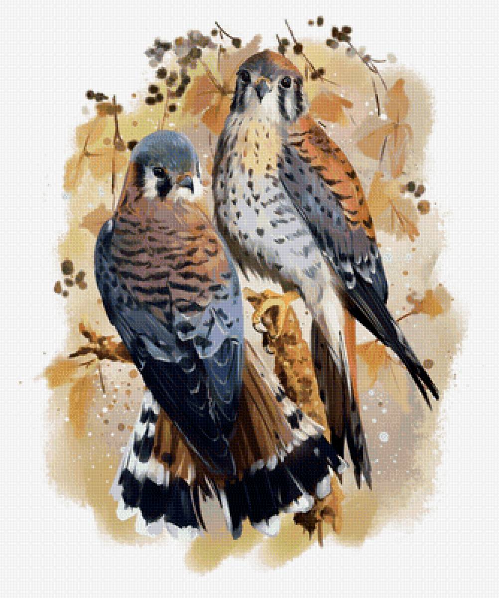 Птицы на ветке - рисунок, птицы, птички - предпросмотр