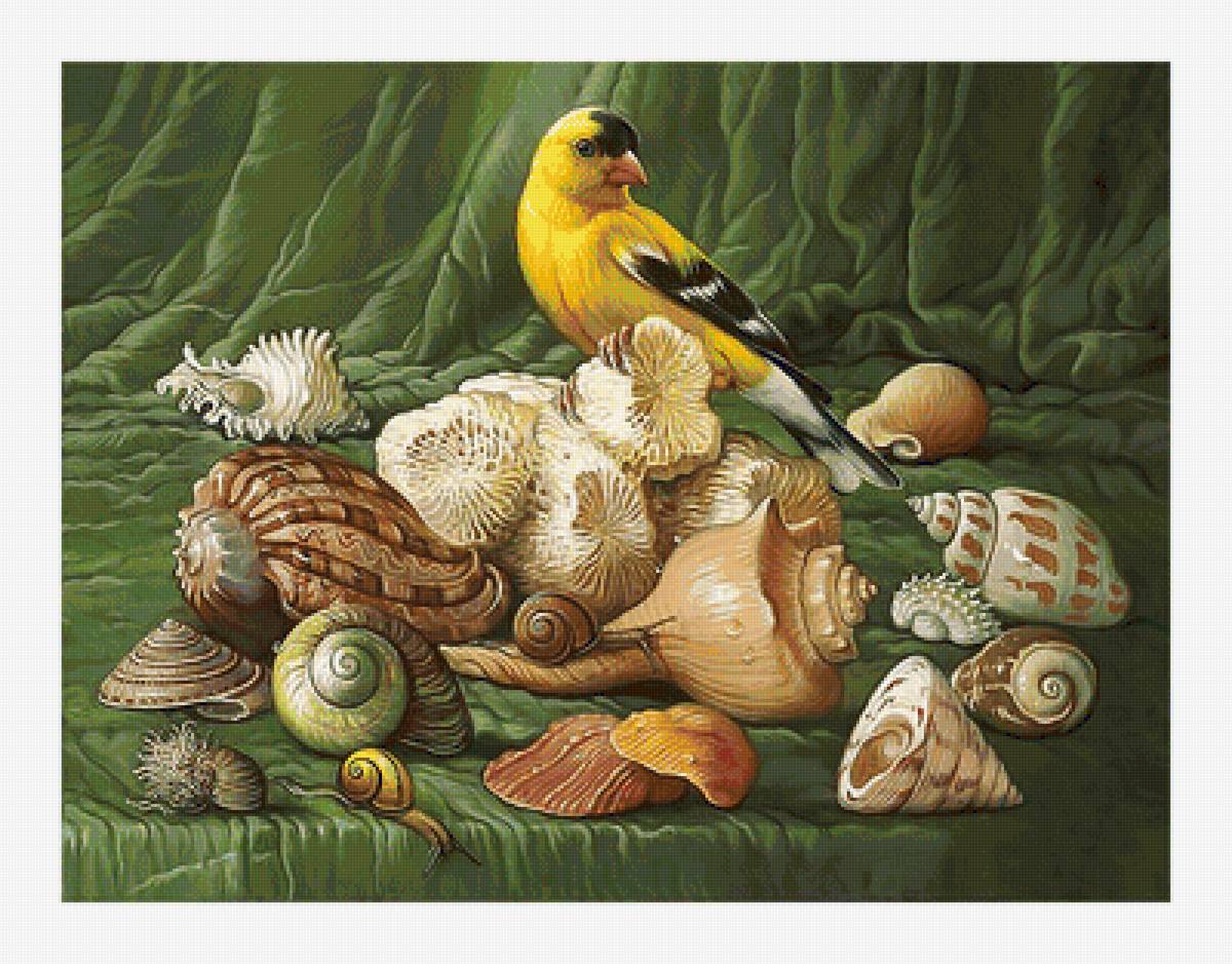 Серия "Натюрморты". - натюрморт, ракушки, птичка - предпросмотр