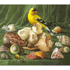 Схема вышивки «Серия "Натюрморты".»