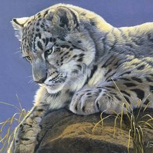 Схема вышивки «Леопард»