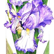 Схема вышивки «№1867623»