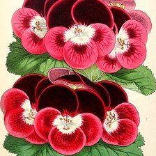 Схема вышивки «№1867627»