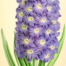 Схема вышивки «№1867636»