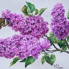 Схема вышивки «№1867670»