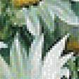 Предпросмотр схемы вышивки «ромашки» (№1867900)