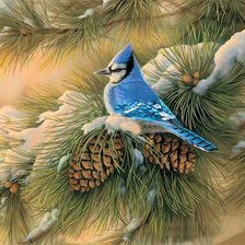 Схема вышивки «Птичка на сосновой ветке»