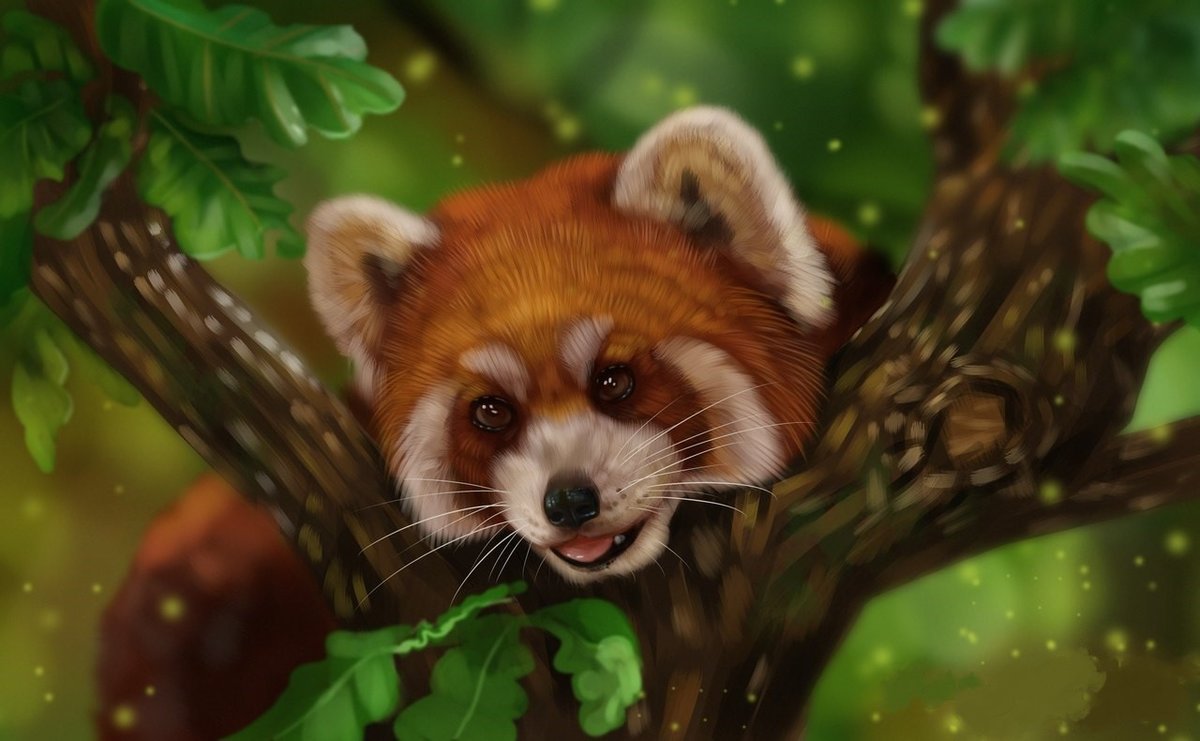 Красная панда - дерево, панда, животные, рисунок, природа - оригинал