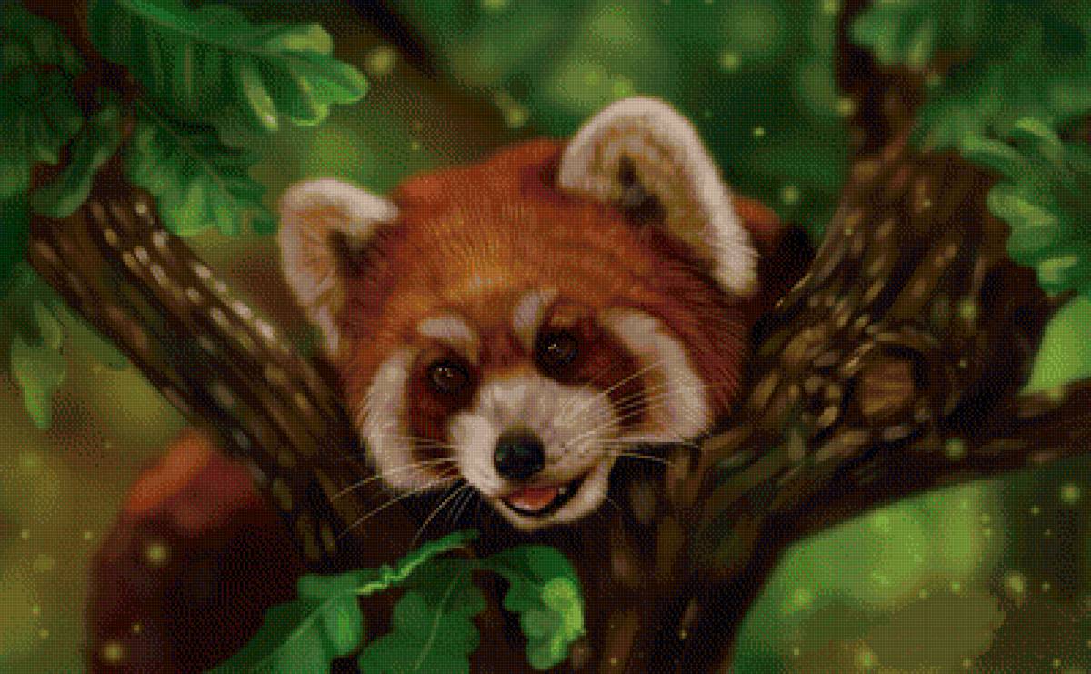 Красная панда - природа, животные, дерево, панда, рисунок - предпросмотр