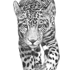 Схема вышивки «рисунок»