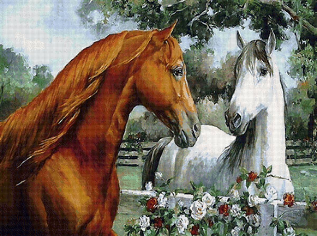 лошади - предпросмотр