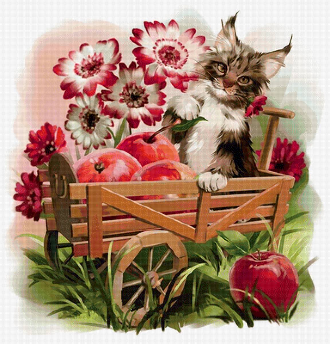 Котик и яблоки - цветы, котенок, животные, лето, яблоки, кот, котик, рисунок - предпросмотр