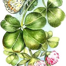 Схема вышивки «№1868621»