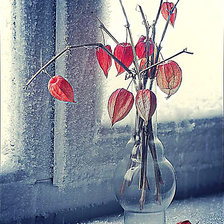 Схема вышивки «Зимний натюрморт.»