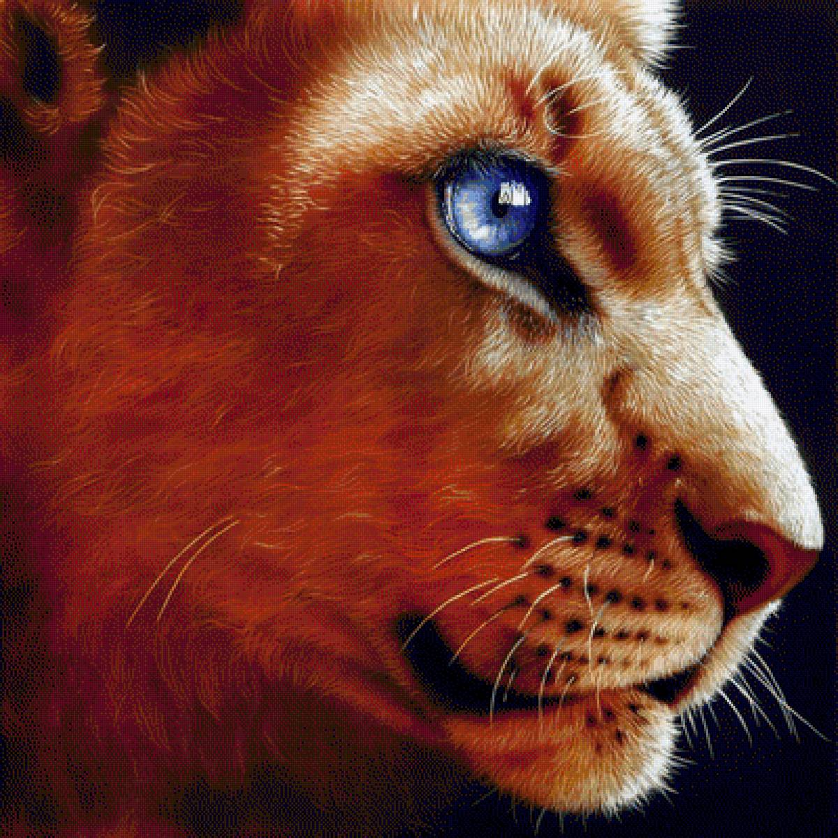 Пума - пума, рисунок, животные - предпросмотр