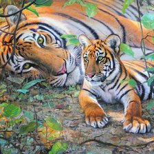 Схема вышивки «Тигры»
