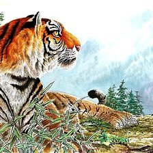 Схема вышивки «№1869029»