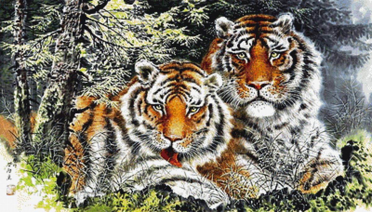 №1869030 - тигры - предпросмотр